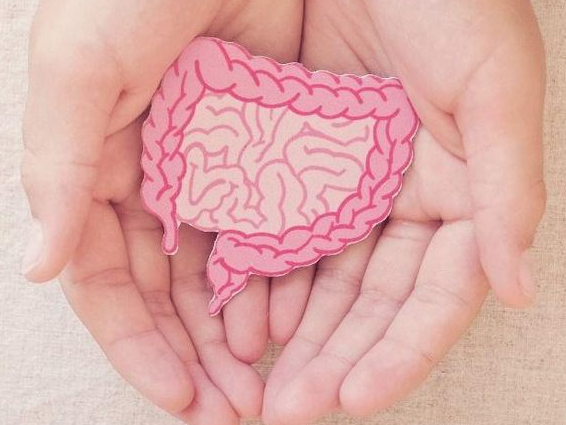 Monitoring-Progress-and-Adjusting-Protocol