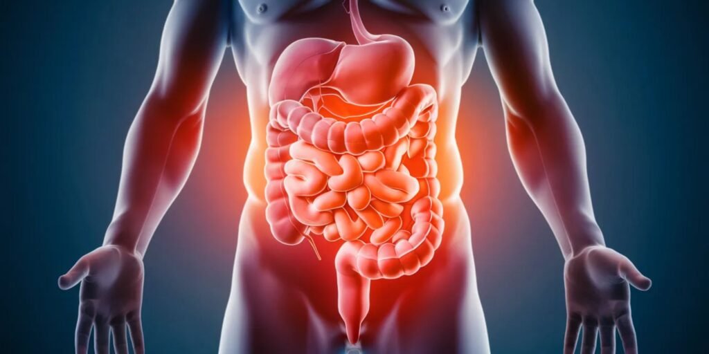 understanding-gut-health-fundamentals-gut-health-supplements-digestive-system-microbiome-nutrient-absorption